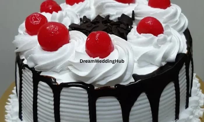 The Fat Kid The Fat Kid