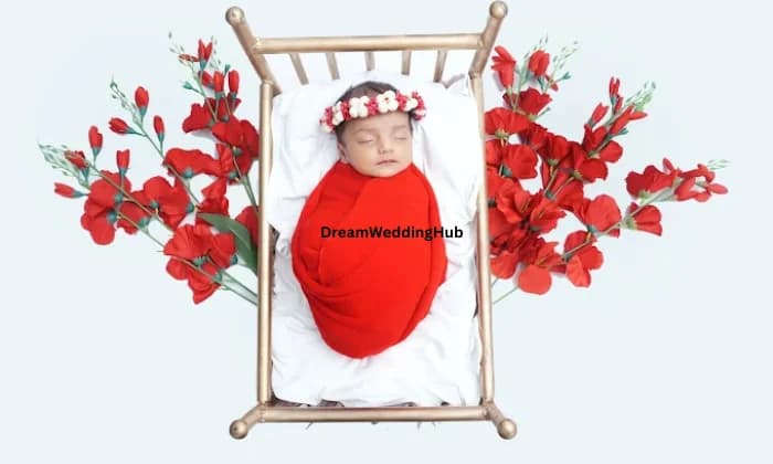 Sai Photography Studio Sai Photography Studio