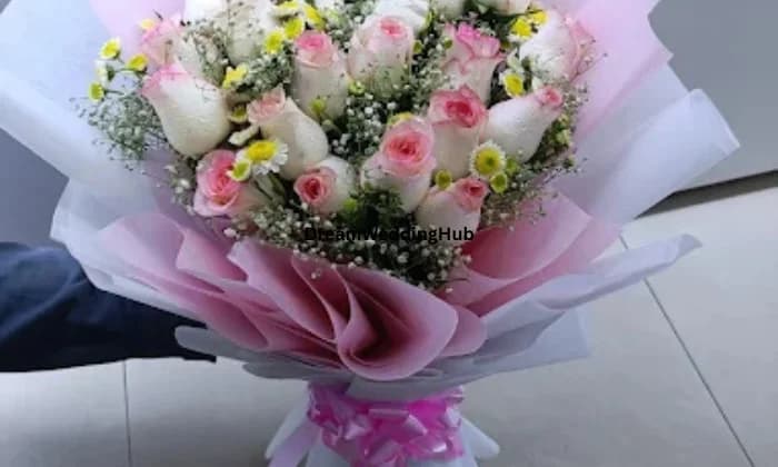 Rose N Petal Rose N Petal